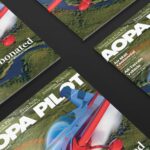 AOPA December 2020 cover showing a gray and red aircraft